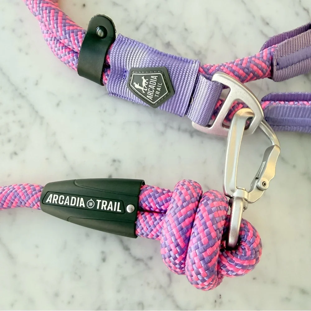 Arcadia Trail rope dog harness and leash in pink and purple
